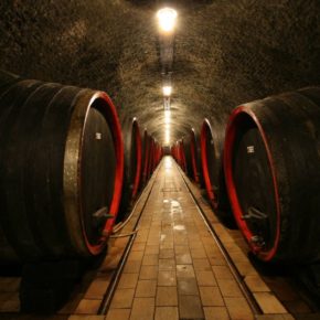 Gourmet Jižní Morava - víno a vinařství jižní Morava - Château Valtice - Vinné sklepy Valtice