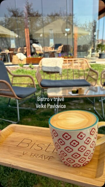 Obklopené poli, sady a vinohrady. @bistro_v_trave nabízí relax přesně dle svého názvu. Ať už si ho zvolíte jako startovací či cílovou destinaci, zdejší nabídka a prostředí vás nezklamou.
Zatímco si děti hrají na hřišti, rodiče tu mohou relaxovat nad sklenkou vína či šálkem kávy. Je to ideální místo pro celou rodinu i výletníky po Velkopavlovicku. 
Bistro v trávě je v průvodci Gourmet Jižní Morava nováčkem v kategorii Bistra. Už jste ho letos vyzkoušeli?